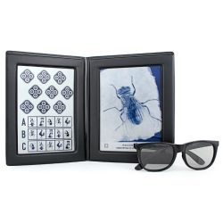 Stereo Fly with Stereo Glasses